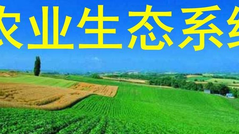 果蔬配送加盟代理标准规范