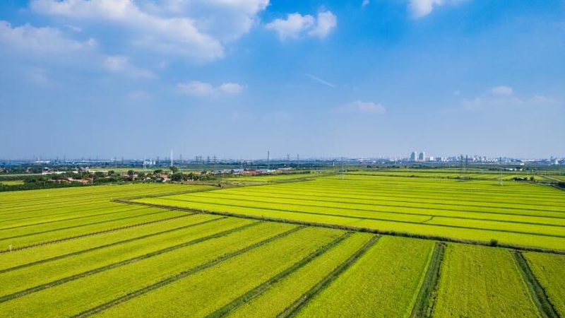 小标题：关注基地的生态环境和设施条件