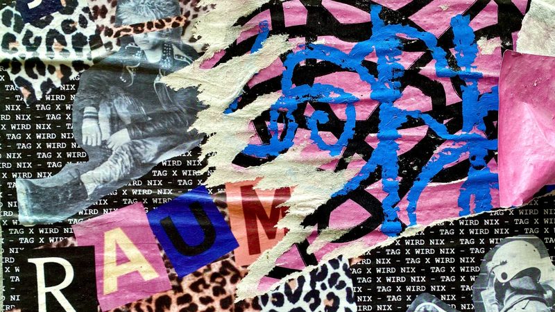 农民专业合作社联合社：助力农业规模化、品牌化发展**