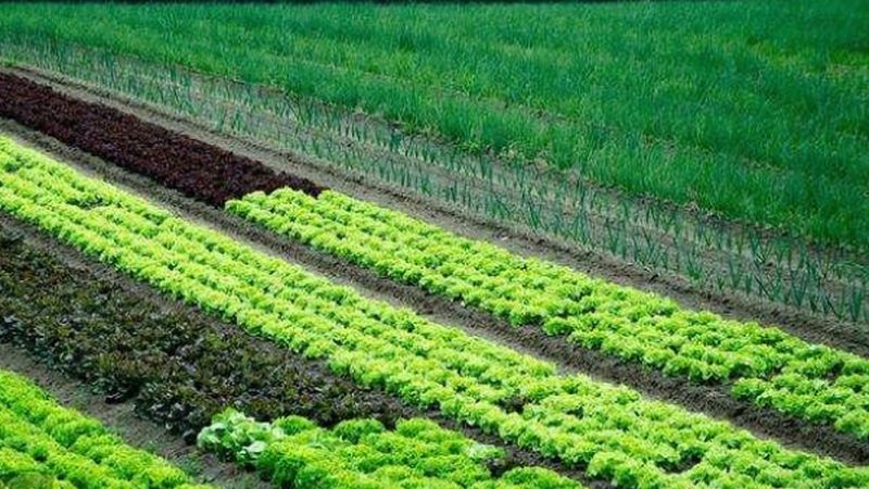 家庭农场种植与养殖设备：本质差异与选购要点