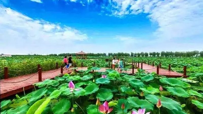 农业种植技术员证：报考材料解析与备考指南**