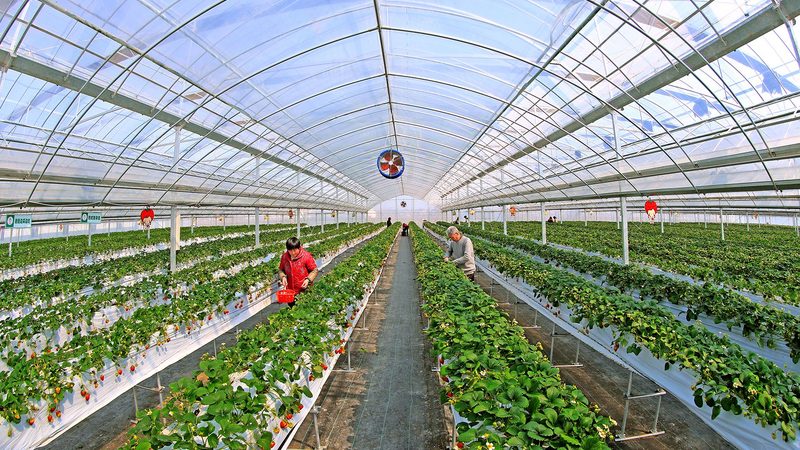 生鲜配送损耗控制：如何打造定制化解决方案