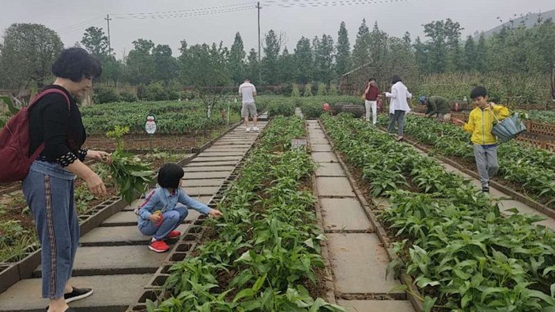 生鲜冷链配送车尺寸参数全解析：如何确保冷链物流的精准匹配