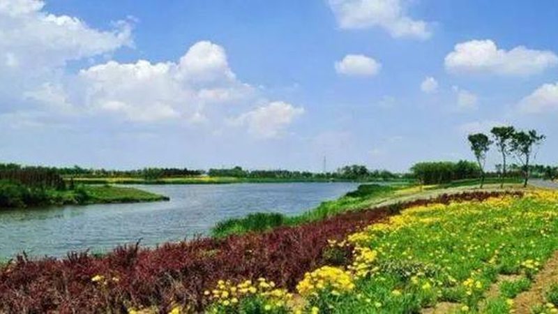 休闲农业公司品牌排名通常基于以下几方面：