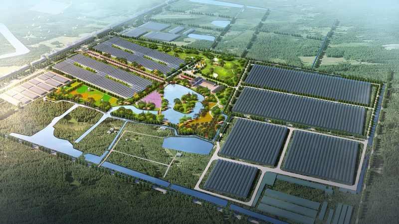休闲观光农业产业园规划：从“看风景”到“卖体验”的升级逻辑