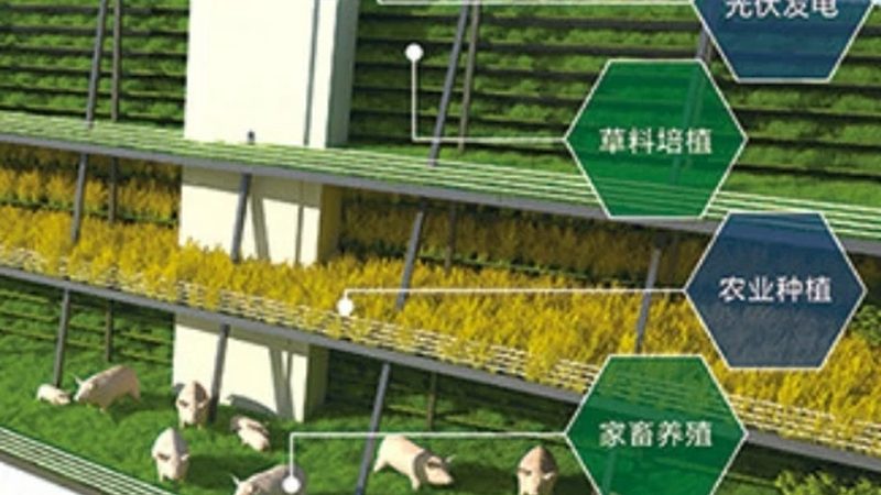 农资展会参展流程步骤