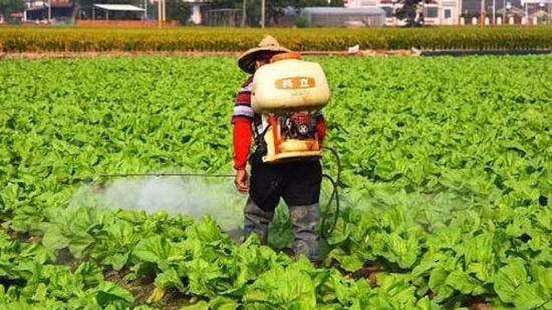 餐饮配送资质要求：标准解读与合规要点