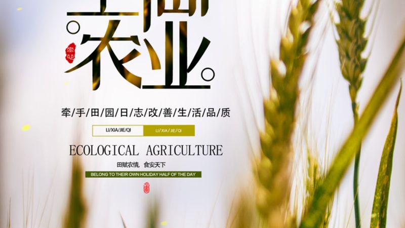 农产品直供渠道：成本构成与优化策略
